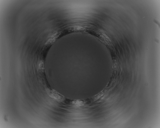 X0000095130419200801041251