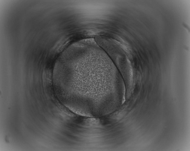 X0000095130421200801041251