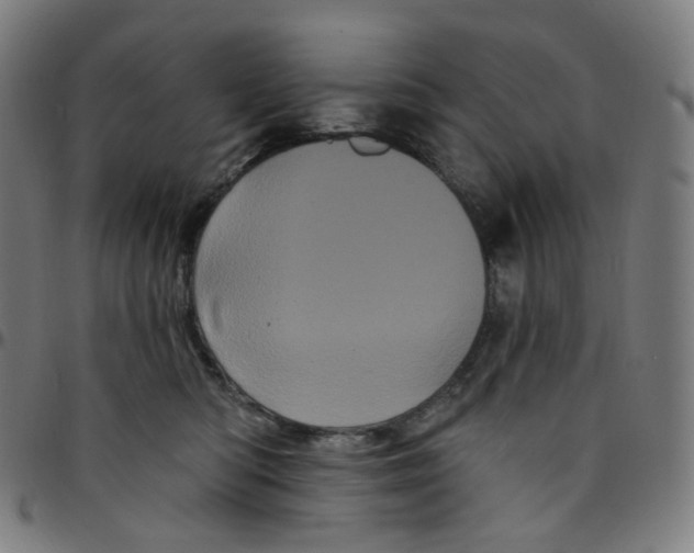 X0000095130422200801041251