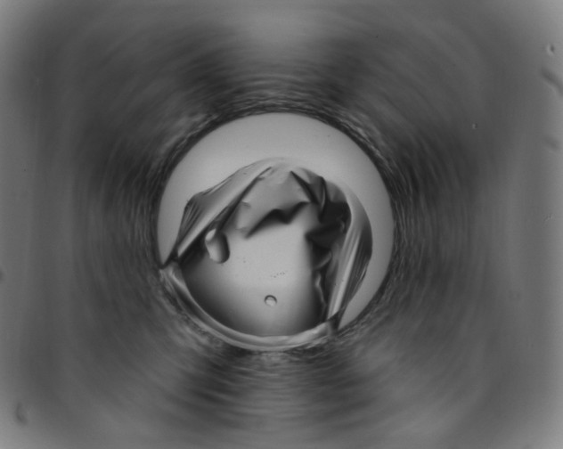 X0000095130423200801041251