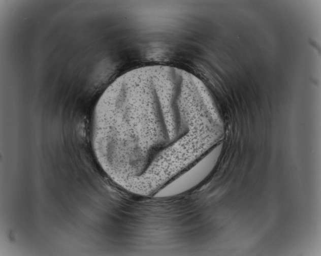 X0000095130424200801041251