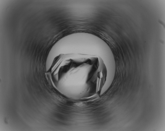 X0000095130425200801041251