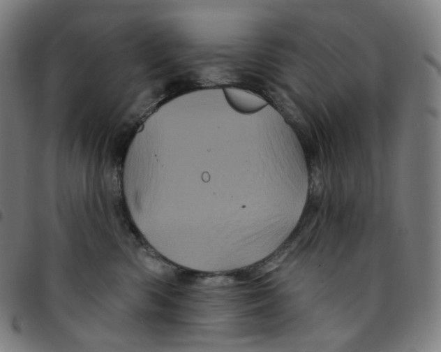 X0000095130426200801041251