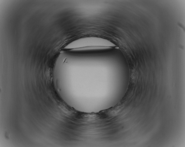 X0000095130428200801041251