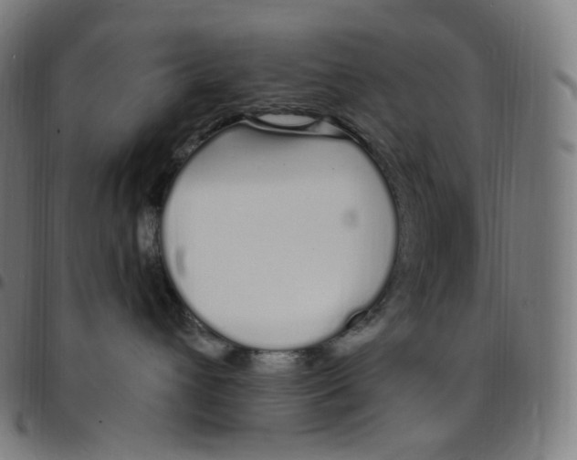 X0000095130432200801041251