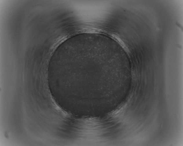 X0000095130433200801041250