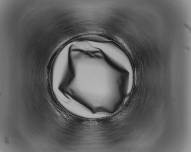 X0000095130435200801041250