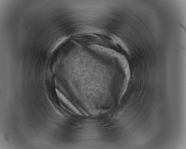 X0000095130436200801041250