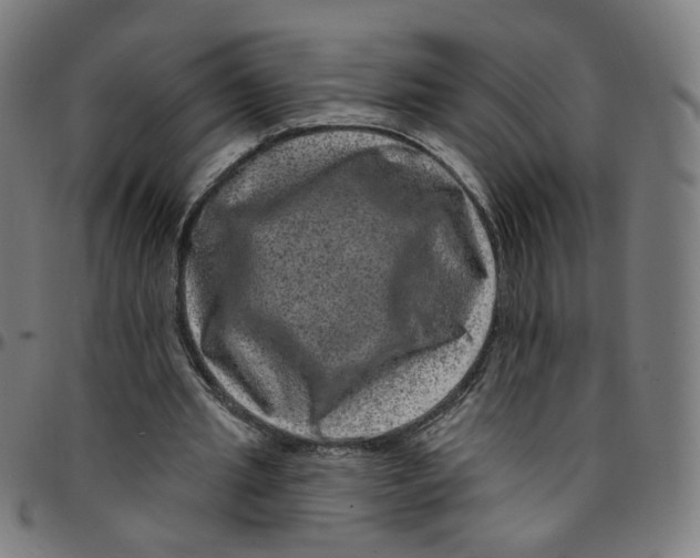 X0000095130437200801041250