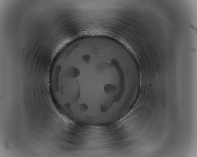 X0000095130438200801041250