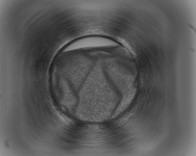 X0000095130439200801041250