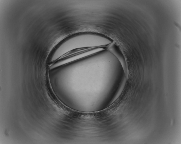 X0000095130440200801041250