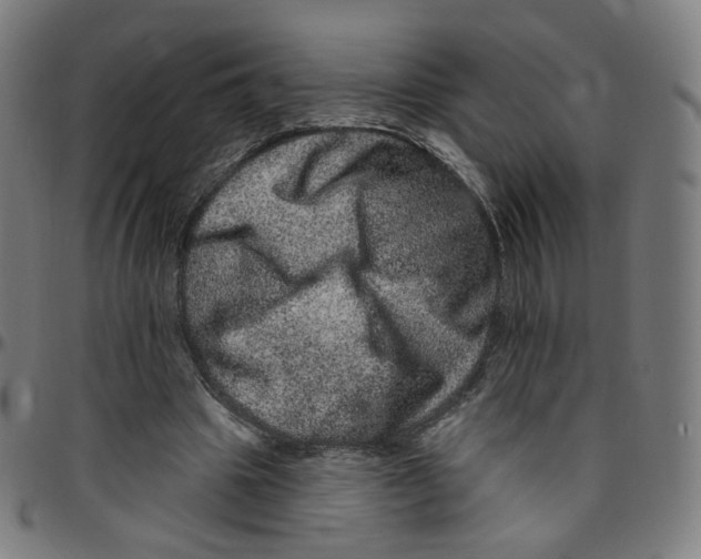 X0000095130441200801041250