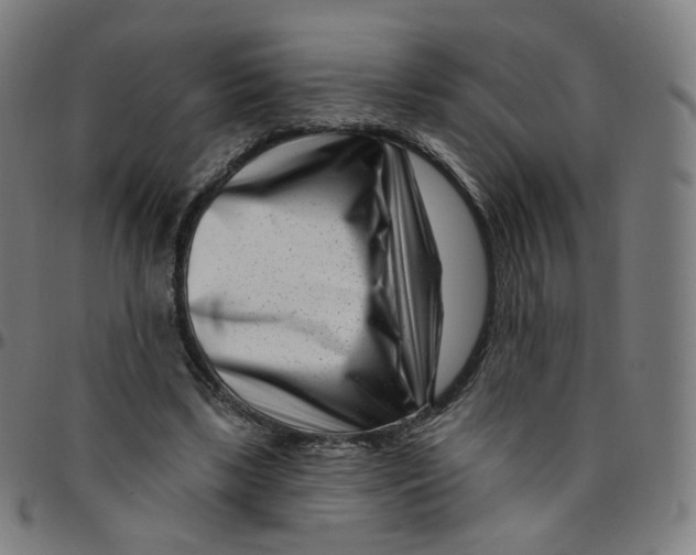 X0000095130443200801041250