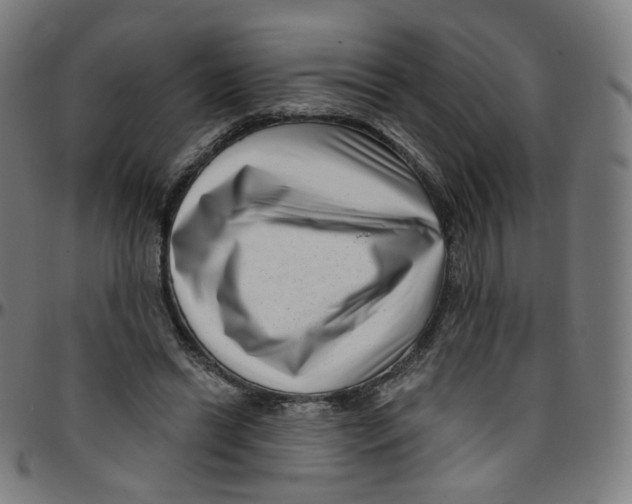 X0000095130446200801041251