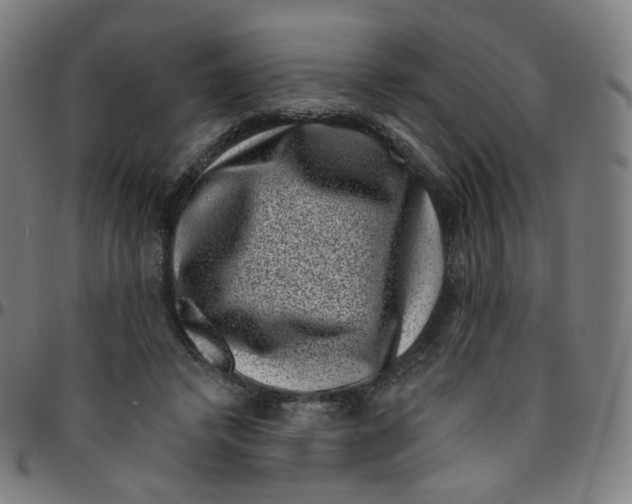 X0000095130448200801041251