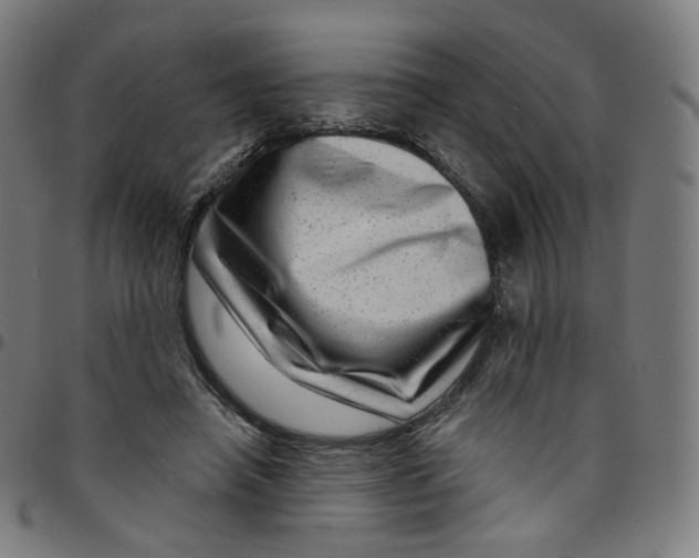 X0000095130450200801041251