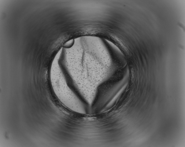 X0000095130451200801041251