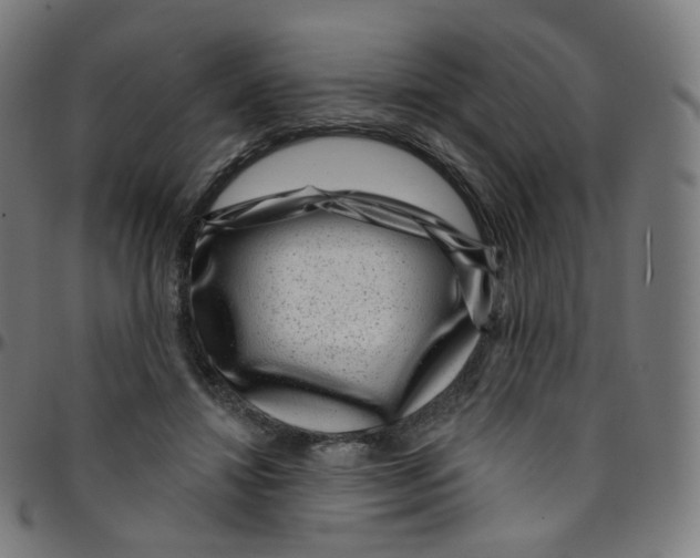 X0000095130452200801041251