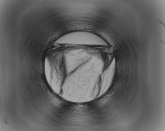 X0000095130453200801041251