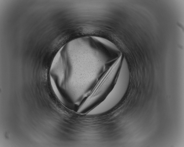 X0000095130454200801041251