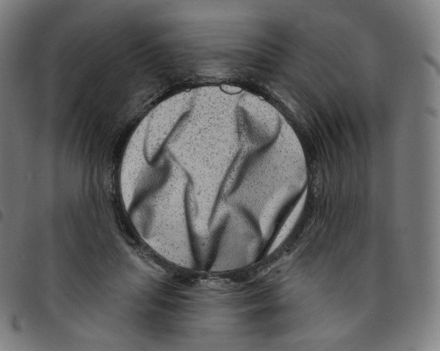 X0000095130455200801041251