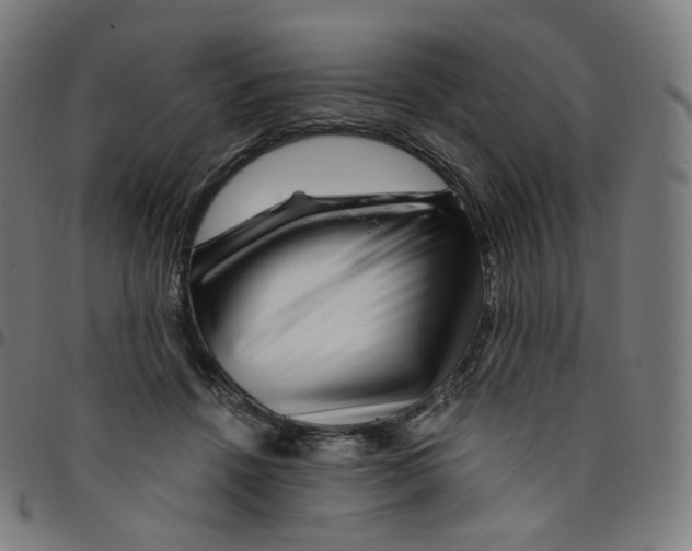 X0000095130456200801041251