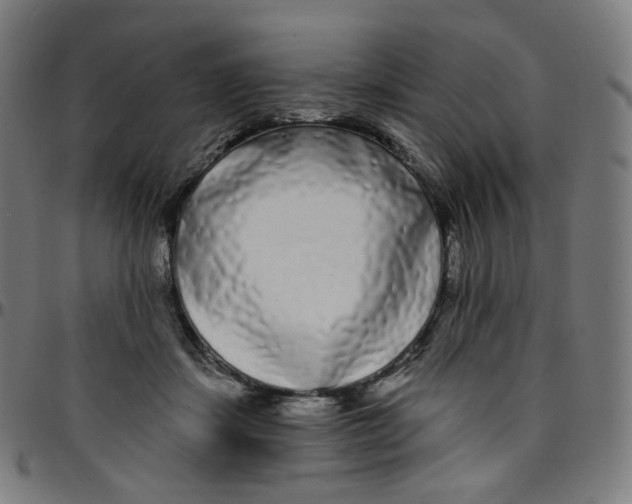 X0000095130459200801041251