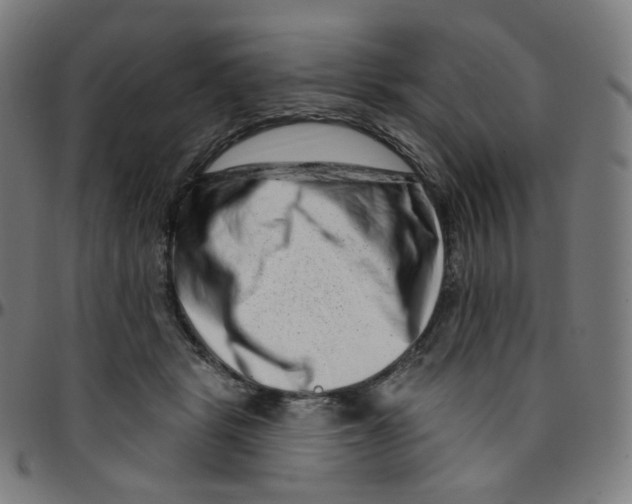 X0000095130461200801041251