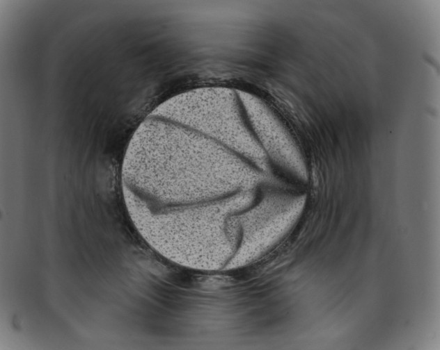 X0000095130463200801041251