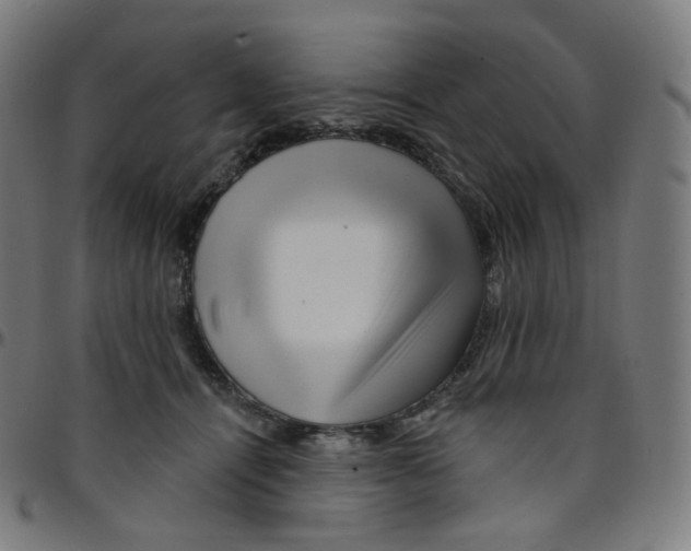 X0000095130464200801041251