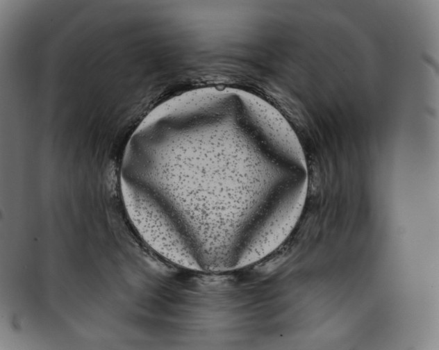 X0000095130465200801041251