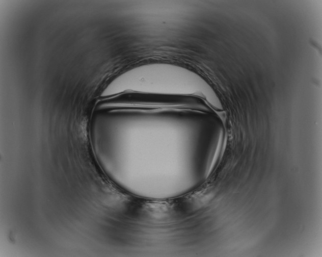 X0000095130466200801041251