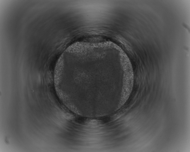 X0000095130467200801041251