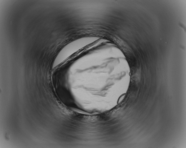 X0000095130469200801041251