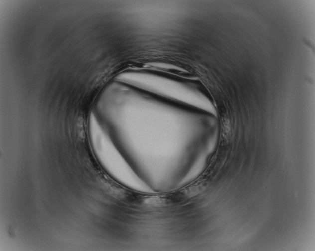 X0000095130470200801041251