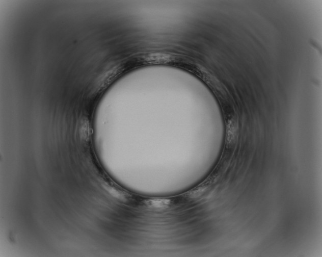 X0000095130474200801041251