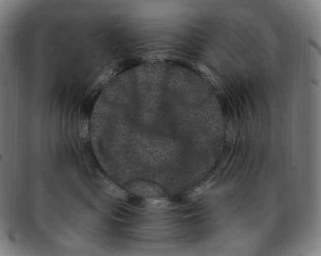 X0000095130477200801041251