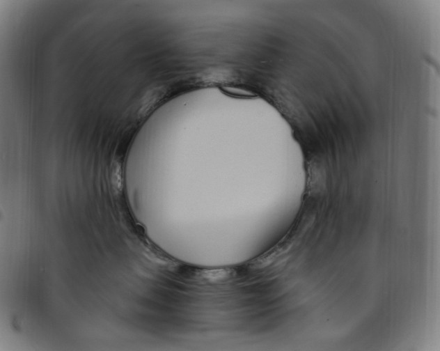 X0000095130479200801041251