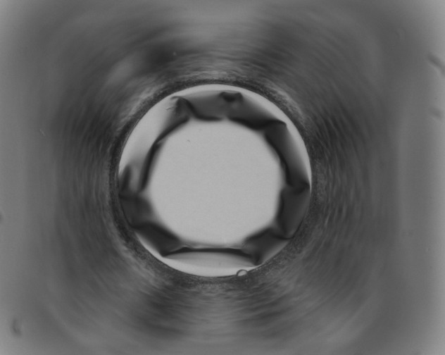 X0000095130482200801041250