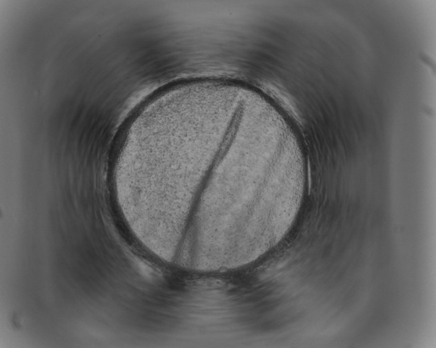 X0000095130483200801041250