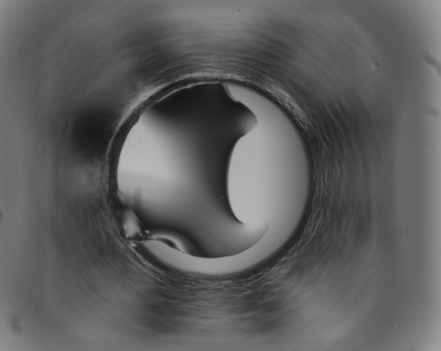 X0000095130484200801041250