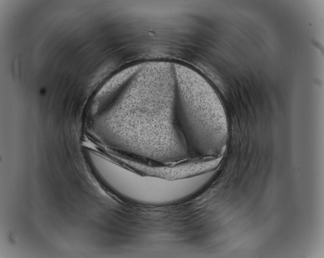 X0000095130485200801041250