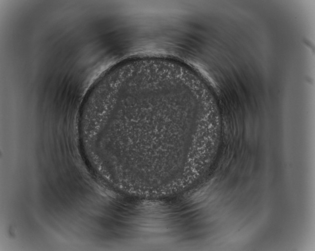 X0000095130487200801041250