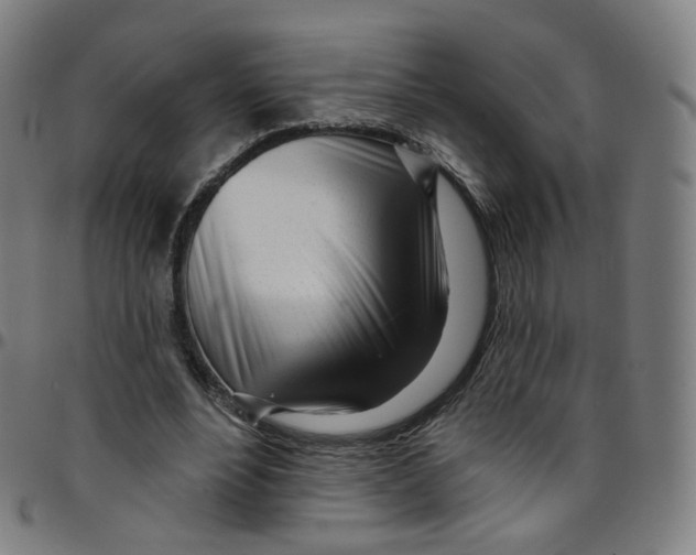 X0000095130488200801041250