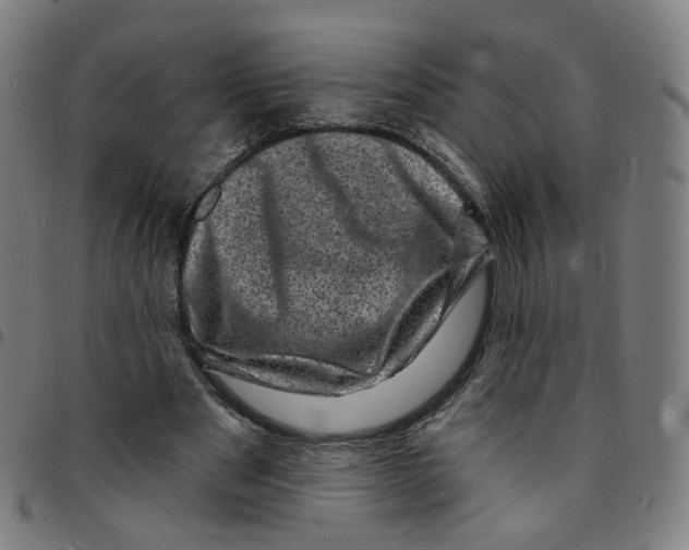 X0000095130489200801041250