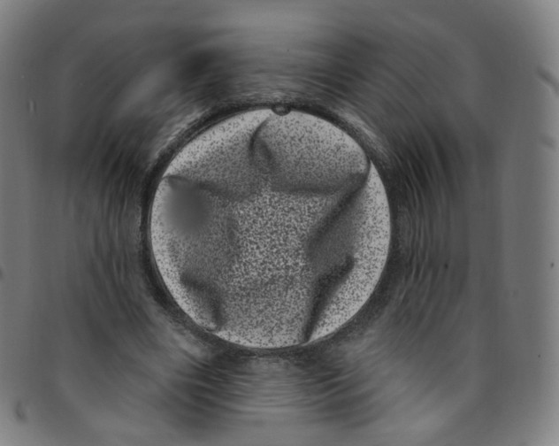 X0000095130490200801041250