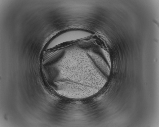 X0000095130492200801041250