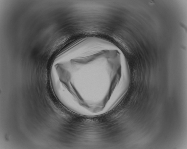 X0000095130494200801041250