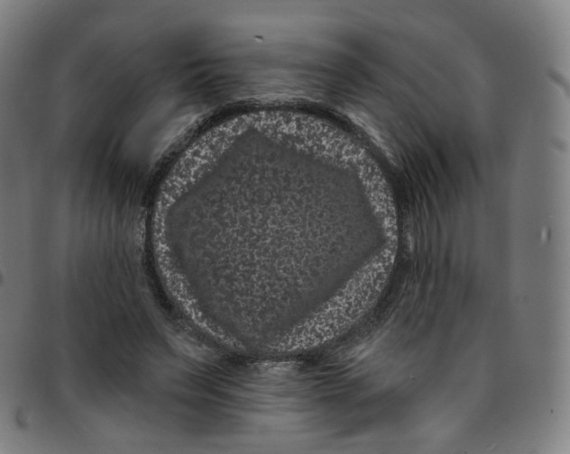 X0000095130495200801041250